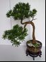 仿真綠植 防真葫蘆樹   園林 風(fēng)景區(qū) 可定制尺寸