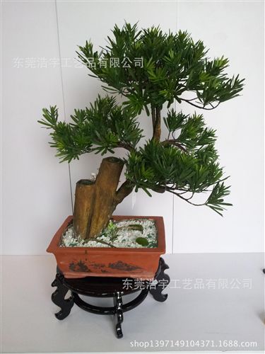 仿真綠植 異形樹創(chuàng)意仿真盆景  創(chuàng)意盆栽酒店山水可用 美觀造型原始圖片3
