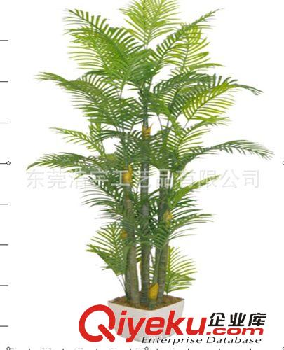 仿真綠植 散尾葵樹(shù) 手感膠仿真植物原始圖片2