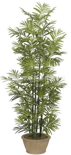 仿真綠植 散尾葵樹(shù) 手感膠仿真植物原始圖片3