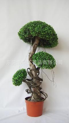 仿真綠植 特殊仿真工藝 仿真植物 假樹 創(chuàng)意仿真植物 米蘭球樹盆栽原始圖片3