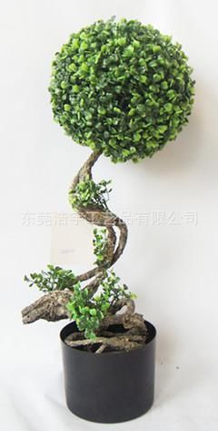 仿真綠植 特殊仿真工藝 仿真植物 假樹 創(chuàng)意仿真植物 米蘭球樹盆栽
