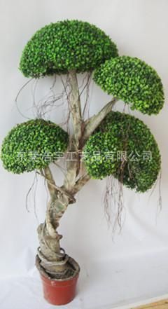 仿真綠植 優(yōu)質(zhì)仿真異形樹(shù)【熱銷】gf真異形米蘭球樹(shù)  仿真植物仿真樹(shù)