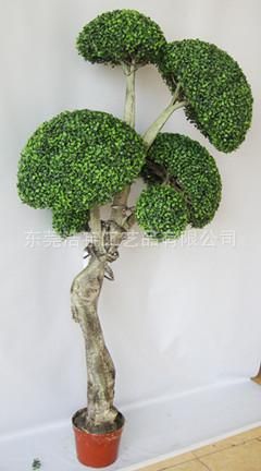 仿真綠植 優(yōu)質(zhì)仿真異形樹(shù)【熱銷】gf真異形米蘭球樹(shù)  仿真植物仿真樹(shù)