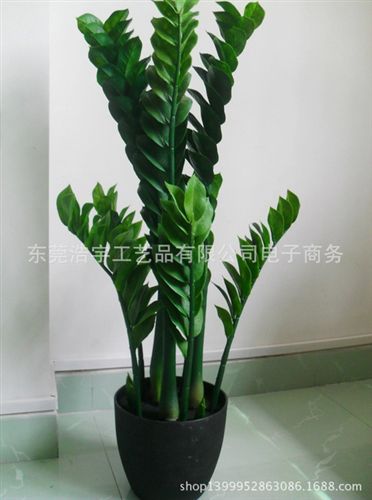 仿真綠植 優(yōu)品材質(zhì)高仿真金錢葉盆栽室內(nèi)擺設(shè) 東莞廠家直銷仿真工藝品原始圖片2
