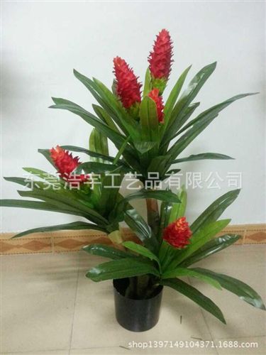仿真綠植 廠(chǎng)家直銷(xiāo)仿真小三頭姜花  室內(nèi)外裝飾仿真植物 可定制