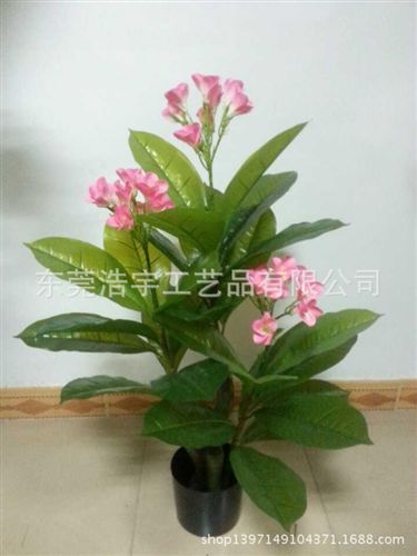 仿真綠植 廠家直銷仿真小三頭姜花  室內(nèi)外裝飾仿真植物 可定制