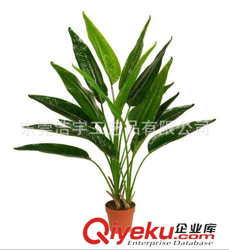仿真綠植 室內(nèi)外裝飾仿真植物  品種齊全 廠家直銷原始圖片2