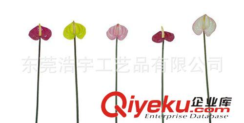 半成品枝 葉 廠家直銷仿真紅掌葉子  半成品假葉子 假植物  顏色尺寸可定制原始圖片2