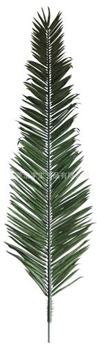半成品枝 葉 人造椰子葉海藻葉 園林綠化葉子 裝飾造型仿真海藻葉原始圖片2