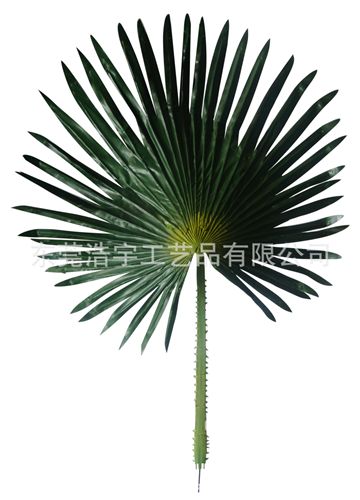 半成品枝 葉 gf真扇葵葉 扇葵樹配件 gd質(zhì)優(yōu) 深淺兩色 大小可定制原始圖片2