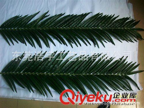 半成品枝 葉 仿真棕櫚葉 優(yōu)質(zhì)gf棕櫚葉大量出口 室內(nèi)外棕櫚葉東莞廠家直銷原始圖片2
