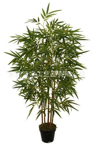 仿真竹子 廠家直銷仿真韓國竹 金絲竹  室內(nèi)外裝飾假竹子  可定制尺寸原始圖片2