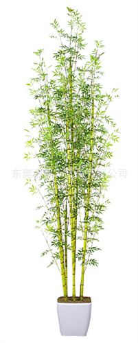 仿真竹子 仿真植物廠家 仿真竹子盆栽 酒店裝飾家庭隔斷屏風假竹子