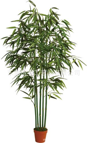 仿真竹子 專業(yè)生產(chǎn)gf真竹子 單支竹 竹子  批發(fā)定制原始圖片2