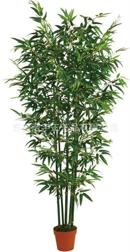 仿真竹子 高仿真竹子盆景  大批量銷售 批發(fā)定制原始圖片2