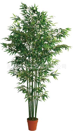 仿真竹子 高仿真竹子盆景  大批量銷售 批發(fā)定制原始圖片3