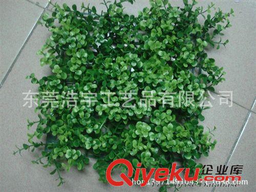 仿真草皮 金錢葉草皮高質量仿真 廠家供應仿真草皮生產 仿真PE塑料草皮