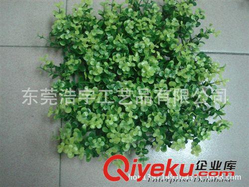 仿真草皮 金錢葉草皮高質量仿真 廠家供應仿真草皮生產 仿真PE塑料草皮
