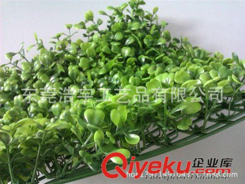 仿真草皮 金錢葉草皮高質量仿真 廠家供應仿真草皮生產 仿真PE塑料草皮