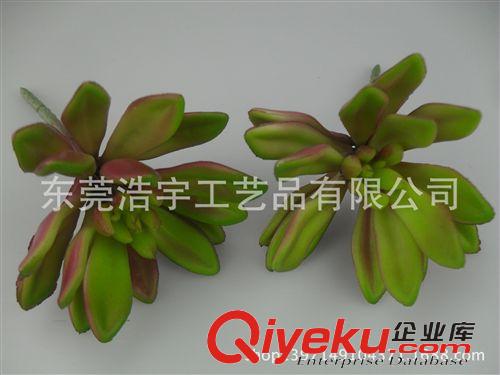仿真多肉植物類/熱帶植物 不含盆單支賣  優質迷你小植物 毛利多銷