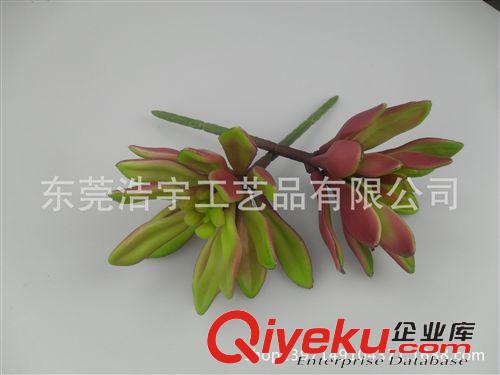 仿真多肉植物類/熱帶植物 假花 塑料花 多肉 仿真 廠家直供原始圖片3
