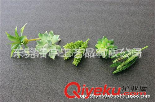 仿真多肉植物類(lèi)/熱帶植物 gd 仿真多肉植物 大寶蓮  塑料花