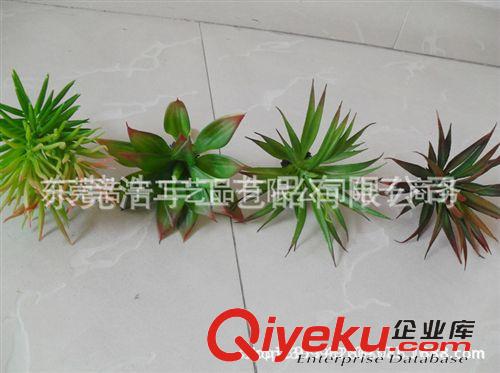 仿真多肉植物類/熱帶植物 不含盆單支賣  優質迷你小植物 毛利多銷原始圖片3