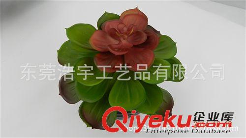 仿真多肉植物類/熱帶植物 仿真迷你植物盆栽 品種齊全 gd仿真塑料仿真多肉植物