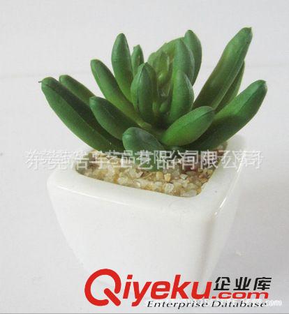 仿真多肉植物類(lèi)/熱帶植物 gd 仿真多肉植物 大寶蓮  塑料花原始圖片2