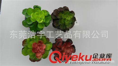 仿真多肉植物類(lèi)/熱帶植物 gd 仿真多肉植物 大寶蓮  塑料花原始圖片3