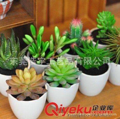 仿真多肉植物類/熱帶植物 仿真迷你植物盆栽 品種齊全 gd仿真塑料仿真多肉植物