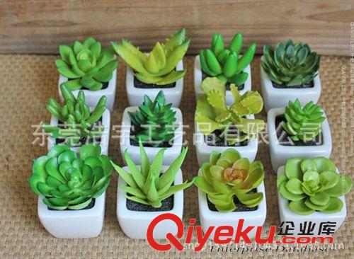仿真多肉植物類/熱帶植物 仿真迷你植物盆栽 品種齊全 gd仿真塑料仿真多肉植物原始圖片2