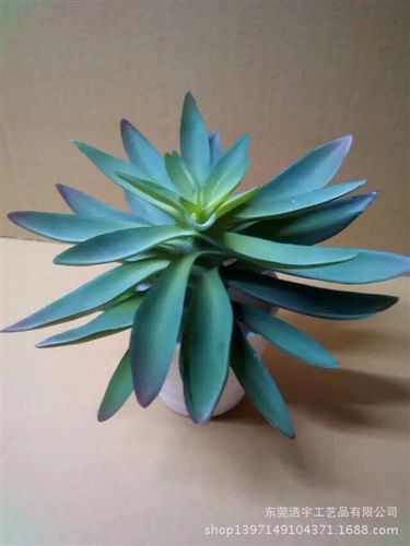 仿真多肉植物類/熱帶植物 仿真迷你植物盆栽 品種齊全 gd仿真塑料仿真多肉植物