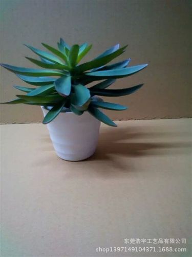 仿真多肉植物類/熱帶植物 家居擺飾仿真植物 人造多肉植物墻 gf真植物墻 仿真樹 廠家直銷原始圖片3