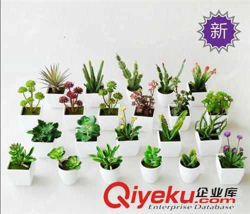 仿真多肉植物類/熱帶植物 新品促銷 家居擺飾仿真植物 裝飾美化植物墻 小盆栽 可定制原始圖片3