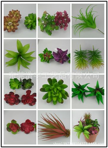 仿真多肉植物類/熱帶植物 苔蘚微景觀多肉植物擺件 DIY可愛家居裝飾品小盆栽 仿真植物廠家原始圖片3