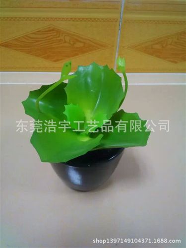 仿真多肉植物類/熱帶植物 熱薦 zakka仿真多肉植物盆景組合盆栽 創意墻飾壁飾掛飾原始圖片2