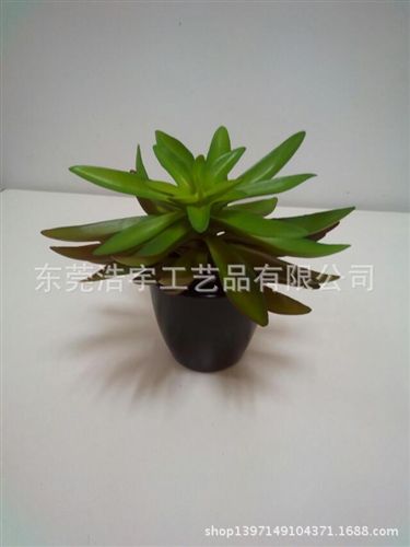 仿真多肉植物類/熱帶植物 熱薦 zakka仿真多肉植物盆景組合盆栽 創意墻飾壁飾掛飾原始圖片3
