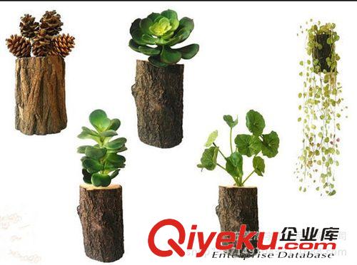 仿真多肉植物類/熱帶植物 熱薦 zakka仿真多肉植物盆景組合盆栽 創意墻飾壁飾掛飾