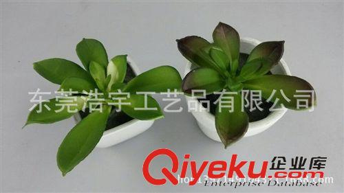 仿真多肉植物類(lèi)/熱帶植物 熱賣(mài) zakka日式多肉仿真多肉植物 辦公室桌面擺飾原始圖片2