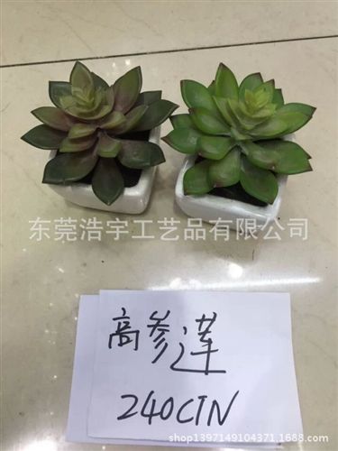 仿真多肉植物類(lèi)/熱帶植物 熱賣(mài) zakka日式多肉仿真多肉植物 辦公室桌面擺飾原始圖片3