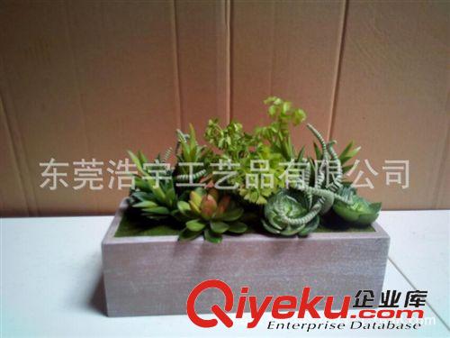 仿真多肉植物類(lèi)/熱帶植物 外貿(mào)仿真植物 雙飛蝶多肉植物小盆栽 辦公室擺件