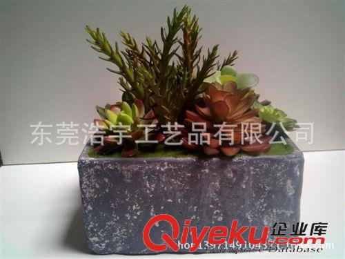 仿真多肉植物類/熱帶植物 自由組合創(chuàng)意多肉植物小盆栽 創(chuàng)意家居飾品配件 廠家直銷原始圖片2