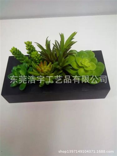 仿真多肉植物類/熱帶植物 自由組合創(chuàng)意多肉植物小盆栽 創(chuàng)意家居飾品配件 廠家直銷原始圖片3