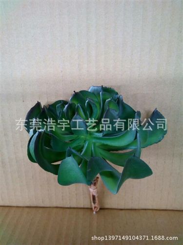 仿真多肉植物類/熱帶植物 自由組合創(chuàng)意多肉植物小盆栽 創(chuàng)意家居飾品配件 廠家直銷