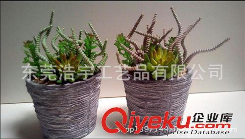 仿真多肉植物類/熱帶植物 東莞gd仿真多肉植物 迷你微景觀裝飾多肉植物 創意家居擺件