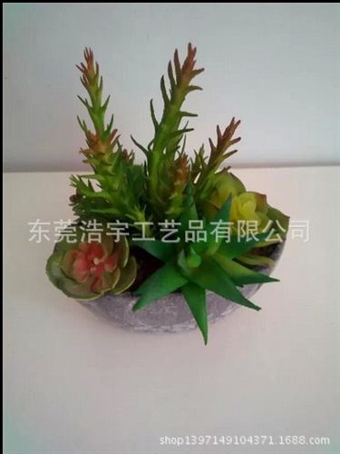 仿真多肉植物類/熱帶植物 東莞gd仿真多肉植物 迷你微景觀裝飾多肉植物 創意家居擺件原始圖片2