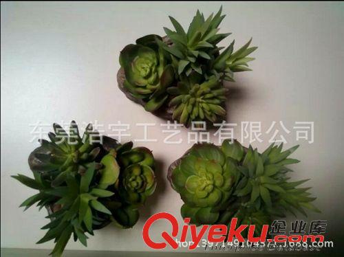 仿真多肉植物類/熱帶植物 東莞gd仿真多肉植物 迷你微景觀裝飾多肉植物 創意家居擺件原始圖片3