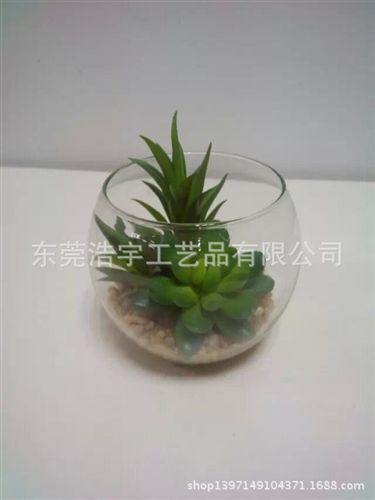 仿真多肉植物類/熱帶植物 東莞gd仿真多肉植物 迷你微景觀裝飾多肉植物 創意家居擺件
